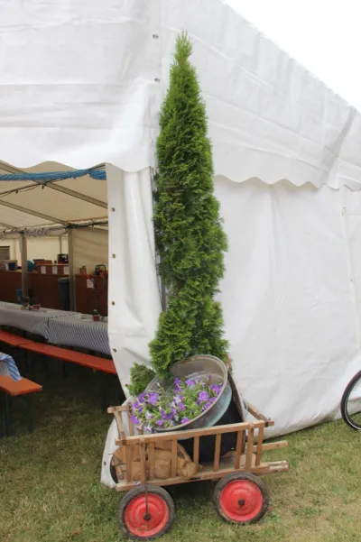 Wies'n-Gaudi 2017 – Fotos TVJ