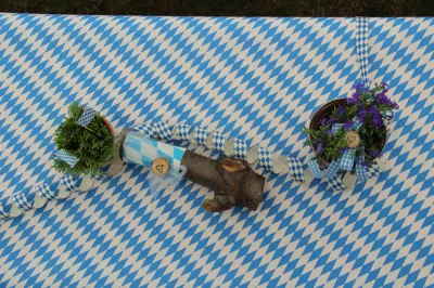 Wies'n-Gaudi 2017 – Fotos TVJ
