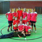 volleyball-histTeams_15