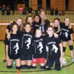 volleyball-histTeams_18